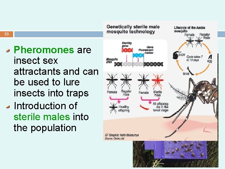 33 Pheromones are insect sex attractants and can be used to lure insects into 33 Pheromones are insect sex attractants and can be used to lure insects into