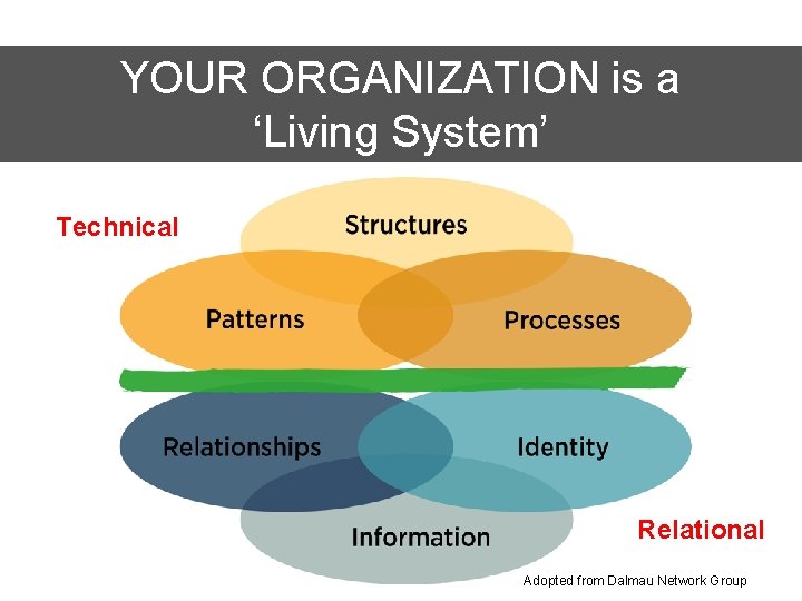 YOUR ORGANIZATION is a ‘Living System’ Technical Relational Adopted from Dalmau Network Group 