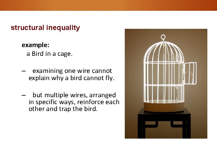 structural inequality example: a Bird in a cage. – examining one wire cannot explain