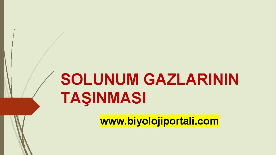 SOLUNUM GAZLARININ TAŞINMASI www. biyolojiportali. com 