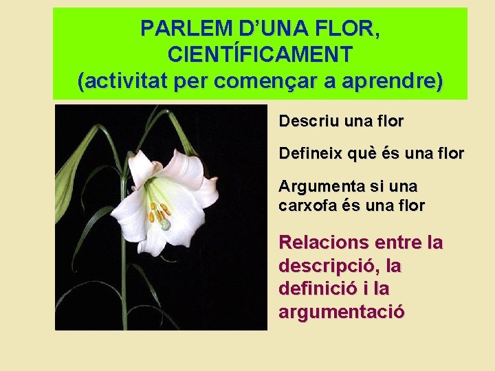 PARLEM D’UNA FLOR, CIENTÍFICAMENT (activitat per començar a aprendre) Descriu una flor Defineix què