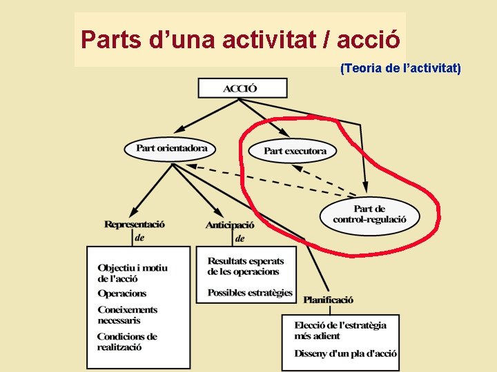 Parts d’una activitat / acció (Teoria de l’activitat) 