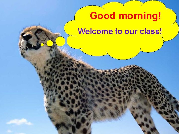 Good morning! Welcome to our class! 