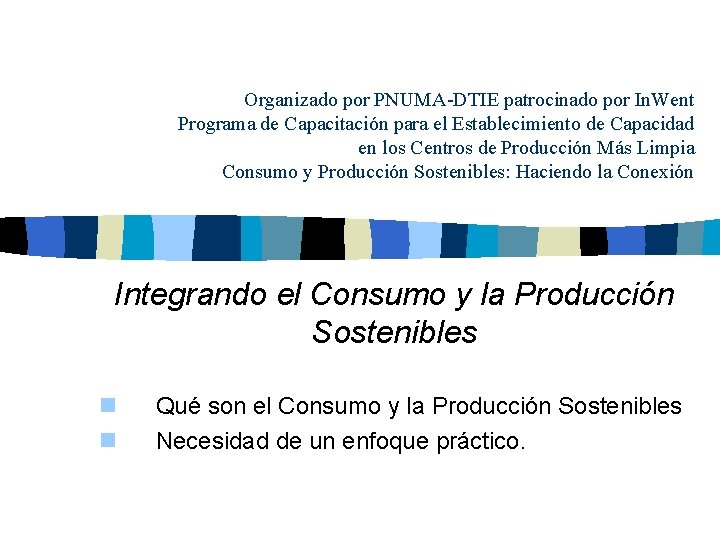 Organizado por PNUMA-DTIE patrocinado por In. Went Programa de Capacitación para el Establecimiento de