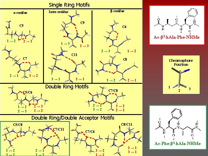 Single Ring Motifs β-residue Inter-residue α-residue C 9 C 5 1→ 2 C 6