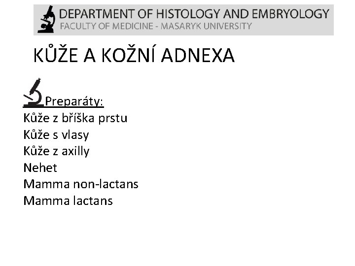 KŮŽE A KOŽNÍ ADNEXA Preparáty: Kůže z bříška prstu Kůže s vlasy Kůže z