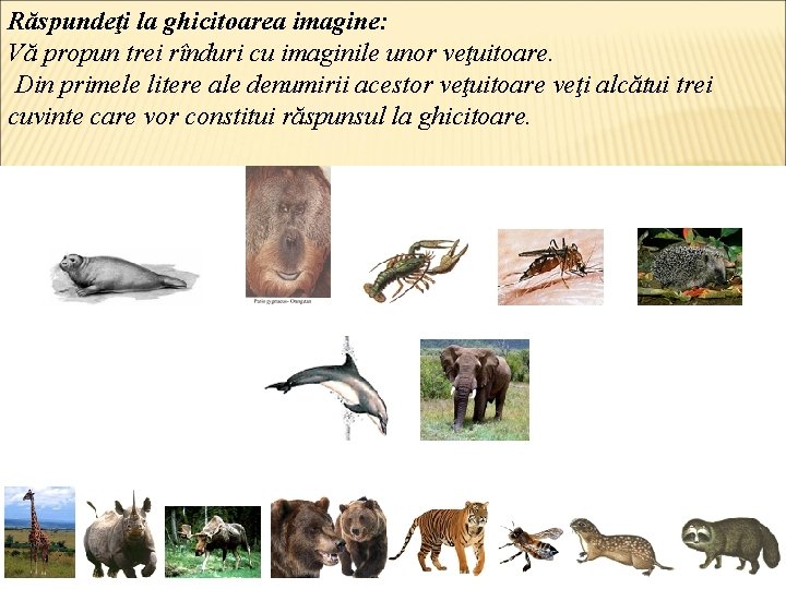 Răspundeţi la ghicitoarea imagine: Vă propun trei rînduri cu imaginile unor veţuitoare. Din primele
