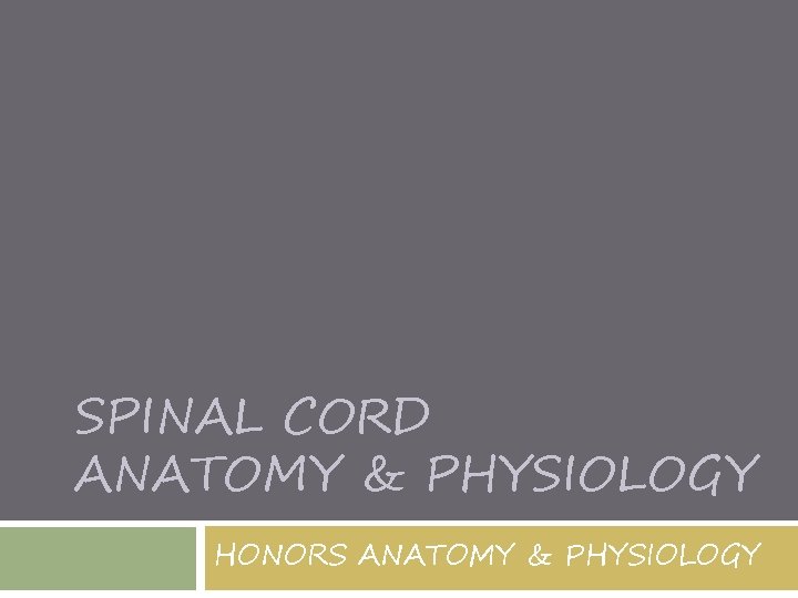 SPINAL CORD ANATOMY & PHYSIOLOGY HONORS ANATOMY & PHYSIOLOGY 