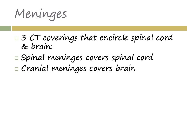 Meninges 3 CT coverings that encircle spinal cord & brain: Spinal meninges covers spinal