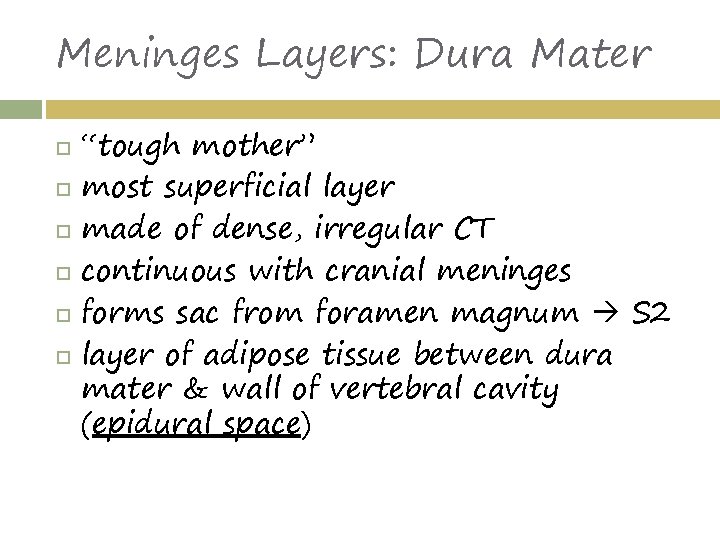 Meninges Layers: Dura Mater “tough mother” most superficial layer made of dense, irregular CT