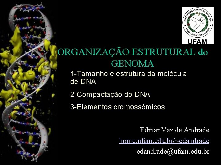 ORGANIZAÇÃO ESTRUTURAL do GENOMA 1 -Tamanho e estrutura da molécula de DNA 2 -Compactação