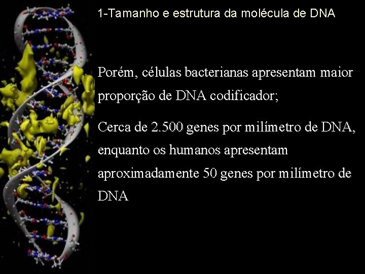 1 -Tamanho e estrutura da molécula de DNA Porém, células bacterianas apresentam maior proporção