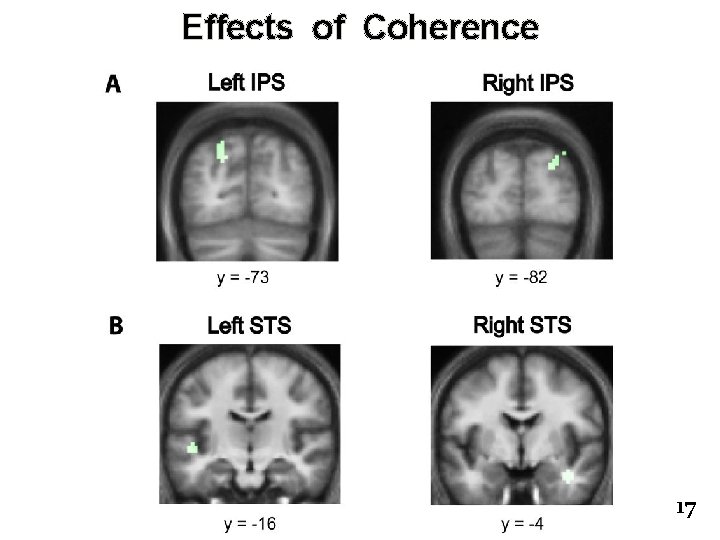Effects of Coherence 17 