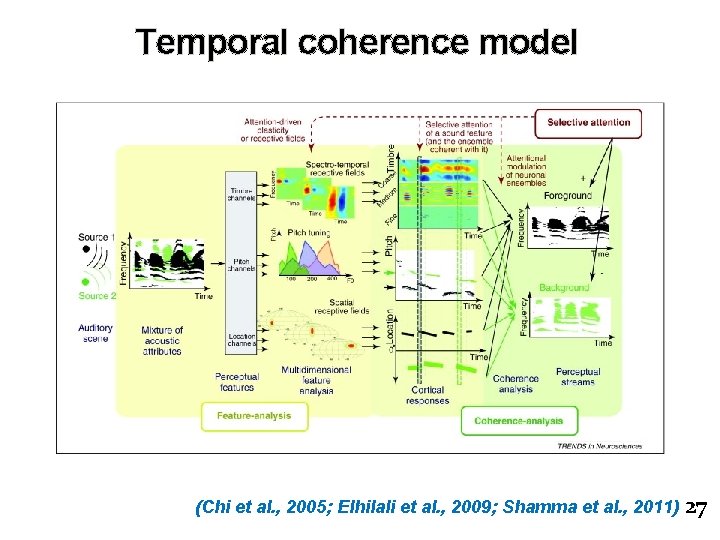 Temporal coherence model (Chi et al. , 2005; Elhilali et al. , 2009; Shamma