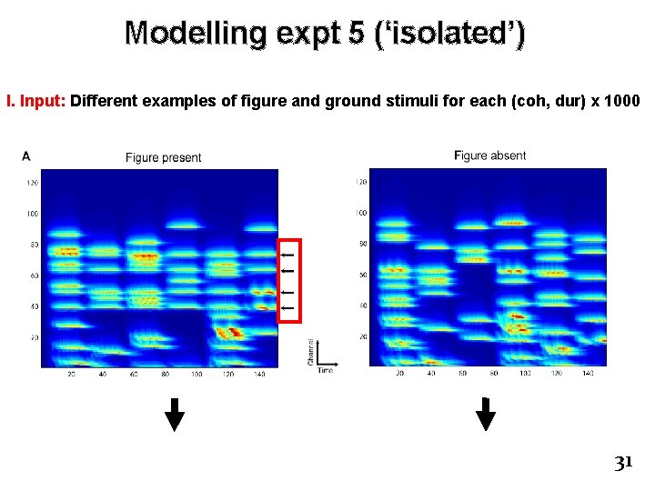Modelling expt 5 (‘isolated’) I. Input: Different examples of figure and ground stimuli for