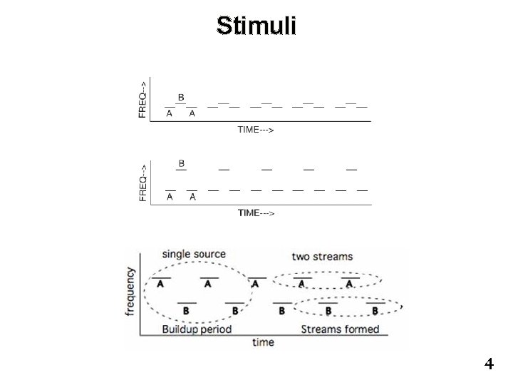 Stimuli 4 