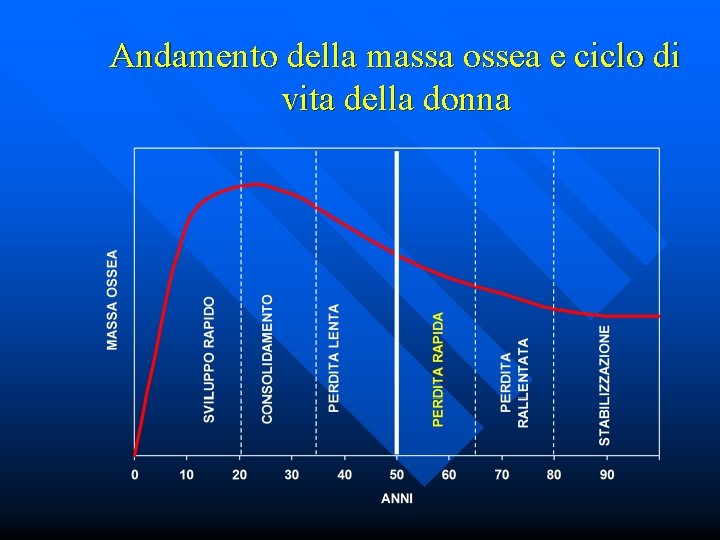 Andamento della massa ossea e ciclo di vita della donna 