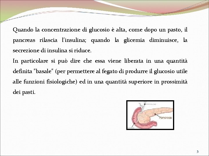 Quando la concentrazione di glucosio è alta, come dopo un pasto, il pancreas rilascia Quando la concentrazione di glucosio è alta, come dopo un pasto, il pancreas rilascia