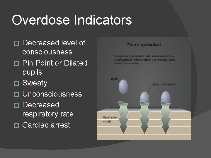 Overdose Indicators � � � Decreased level of consciousness Pin Point or Dilated pupils