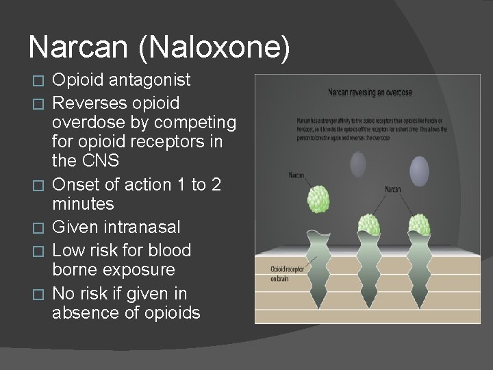 Narcan (Naloxone) � � � Opioid antagonist Reverses opioid overdose by competing for opioid