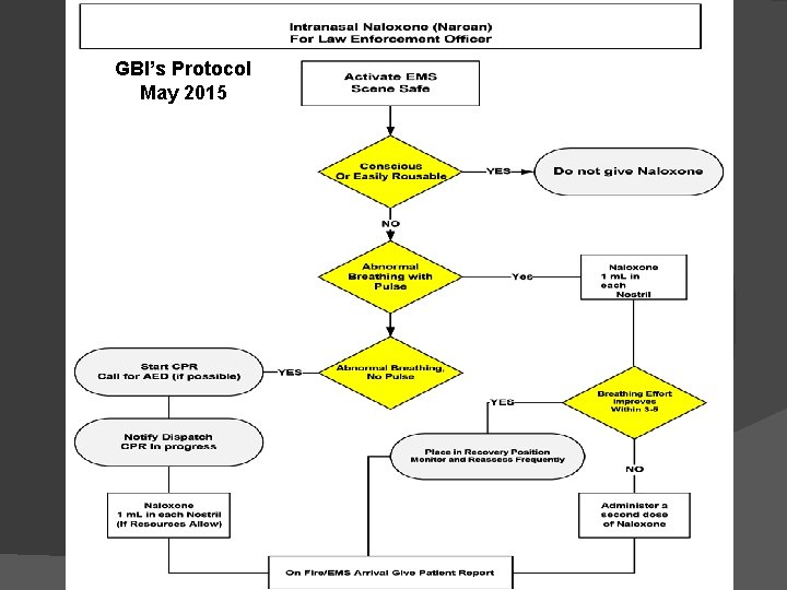 GBI’s Protocol May 2015 