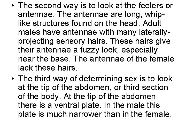  • The second way is to look at the feelers or antennae. The