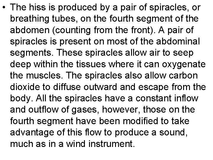  • The hiss is produced by a pair of spiracles, or breathing tubes,