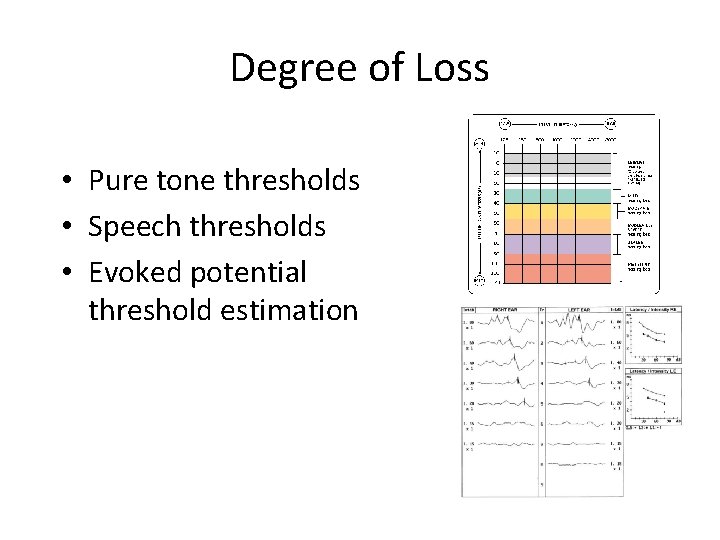 Degree of Loss • Pure tone thresholds • Speech thresholds • Evoked potential threshold