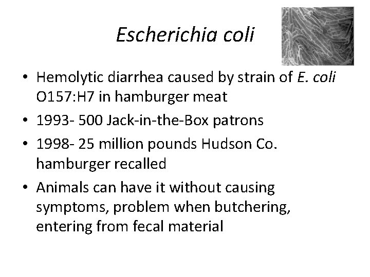 Escherichia coli • Hemolytic diarrhea caused by strain of E. coli O 157: H Escherichia coli • Hemolytic diarrhea caused by strain of E. coli O 157: H