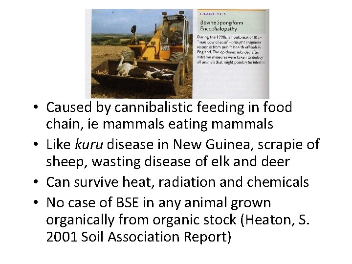 • Caused by cannibalistic feeding in food chain, ie mammals eating mammals • • Caused by cannibalistic feeding in food chain, ie mammals eating mammals •