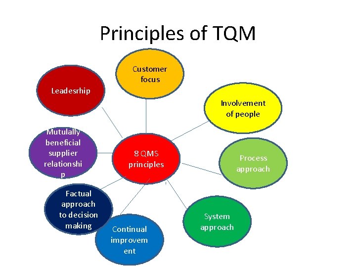 Principles of TQM Customer focus Leadesrhip Involvement of people Mutulally beneficial supplier relationshi p Principles of TQM Customer focus Leadesrhip Involvement of people Mutulally beneficial supplier relationshi p