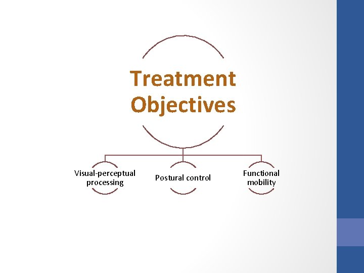 Treatment Objectives Visual-perceptual processing Postural control Functional mobility 