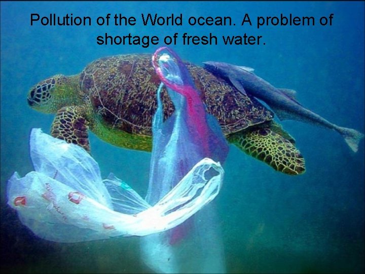 Pollution of the World ocean. A problem of shortage of fresh water. Pollution of the World ocean. A problem of shortage of fresh water.
