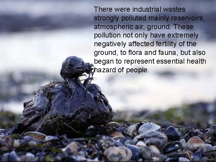 There were industrial wastes strongly polluted mainly reservoirs, atmospheric air, ground. These pollution not There were industrial wastes strongly polluted mainly reservoirs, atmospheric air, ground. These pollution not