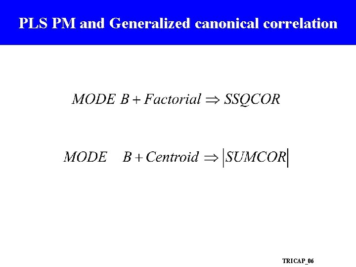 PLS PM and Generalized canonical correlation TRICAP_06 