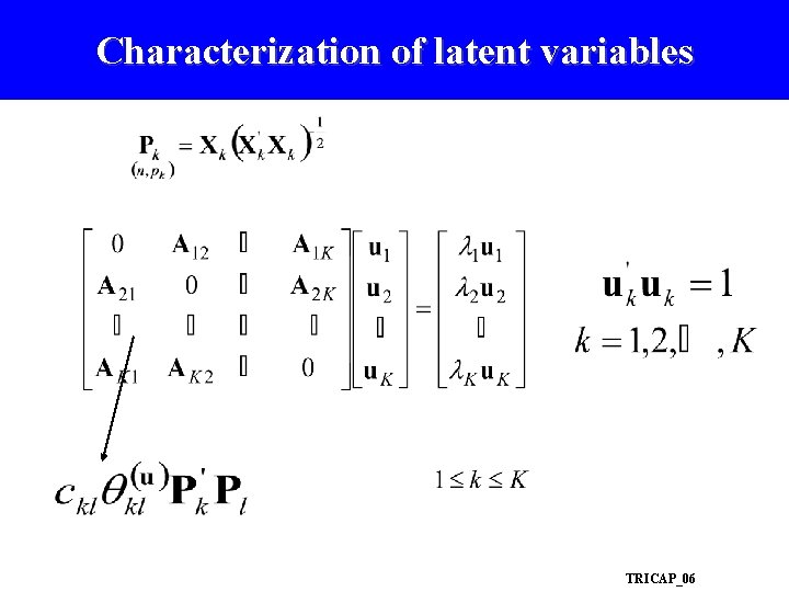 Characterization of latent variables TRICAP_06 