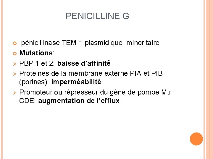 PENICILLINE G pénicillinase TEM 1 plasmidique minoritaire Mutations: Ø PBP 1 et 2: baisse