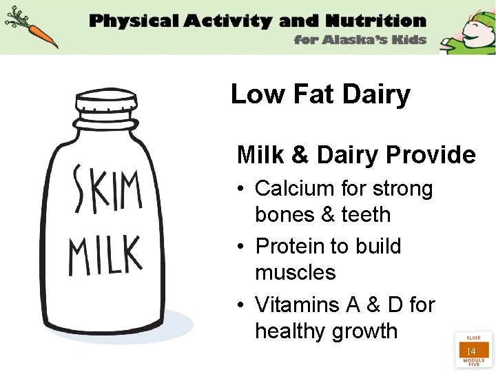 Low Fat Dairy Milk & Dairy Provide • Calcium for strong bones & teeth