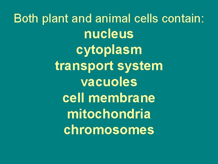 Both plant and animal cells contain: nucleus cytoplasm transport system vacuoles cell membrane mitochondria Both plant and animal cells contain: nucleus cytoplasm transport system vacuoles cell membrane mitochondria