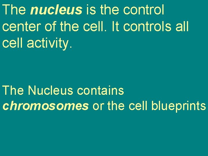 The nucleus is the control center of the cell. It controls all cell activity. The nucleus is the control center of the cell. It controls all cell activity.
