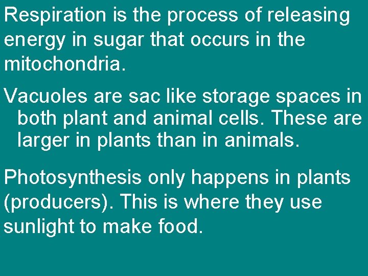 Respiration is the process of releasing energy in sugar that occurs in the mitochondria. Respiration is the process of releasing energy in sugar that occurs in the mitochondria.
