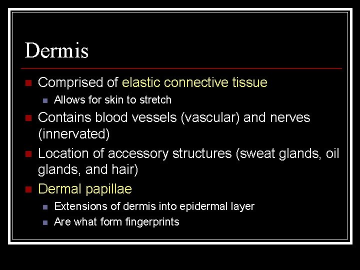 Dermis n Comprised of elastic connective tissue n n Allows for skin to stretch