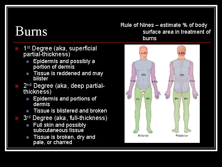 Burns n 1 st Degree (aka, superficial partial-thickness) n n n 2 nd Degree