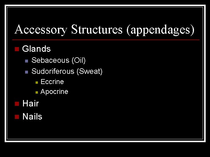 Accessory Structures (appendages) n Glands n n Sebaceous (Oil) Sudoriferous (Sweat) n n Eccrine