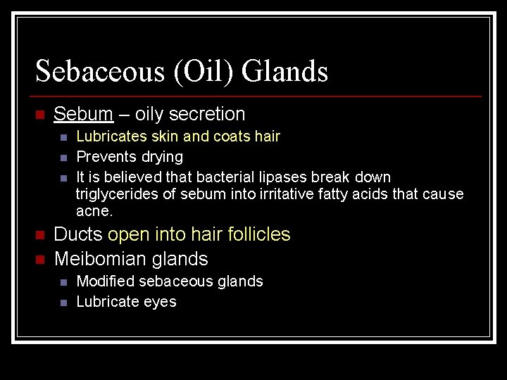 Sebaceous (Oil) Glands n Sebum – oily secretion n n Lubricates skin and coats