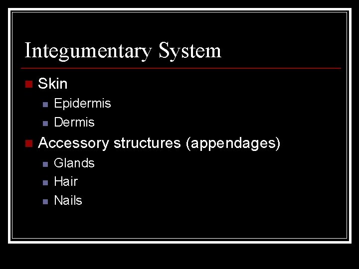 Integumentary System n Skin n Epidermis Dermis Accessory structures (appendages) n n n Glands