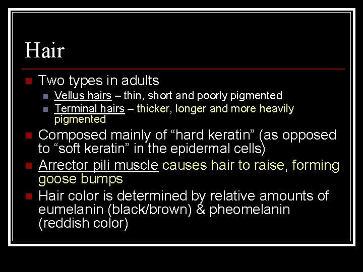 Hair n Two types in adults n n n Vellus hairs – thin, short