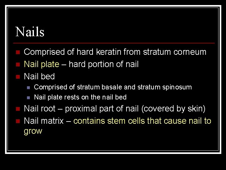 Nails n n n Comprised of hard keratin from stratum corneum Nail plate –