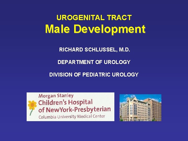 UROGENITAL TRACT Male Development RICHARD SCHLUSSEL, M. D. DEPARTMENT OF UROLOGY DIVISION OF PEDIATRIC UROGENITAL TRACT Male Development RICHARD SCHLUSSEL, M. D. DEPARTMENT OF UROLOGY DIVISION OF PEDIATRIC
