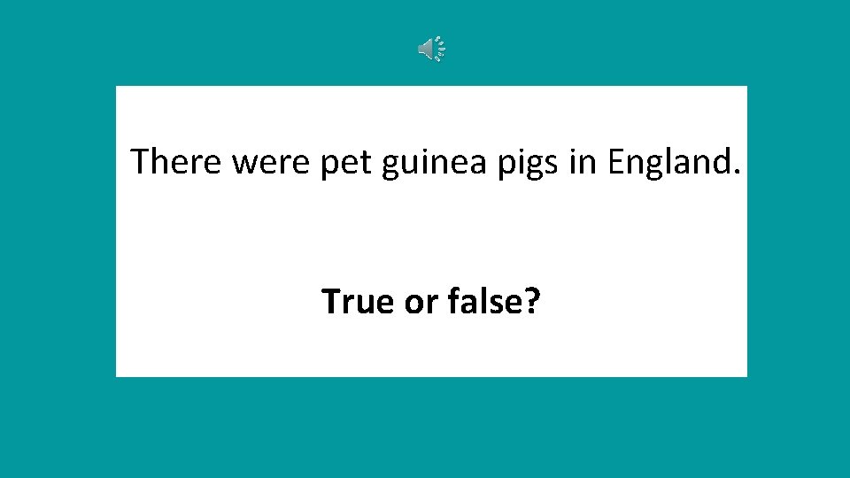 There were pet guinea pigs in England. True or false? 